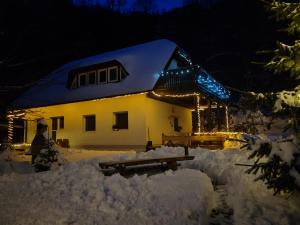 a house covered in snow at night with lights at apartma Pohorc - Macesen in Hočko Pohorje