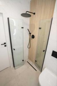 a bathroom with a shower with a glass door at Silverka Studio in Tarnowskie Góry +15 photos