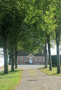 eine Reihe von Bäumen vor einem Gebäude in der Unterkunft Nature Gem Near Haderslev With 160-Year-Old Beech in Vedbøl