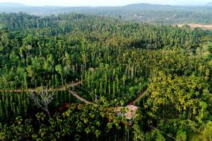 an aerial view of a forest with a house in the middle at Areca Nut Homestay in Mudigere
