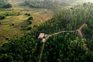 an aerial view of a forest with a train at Areca Nut Homestay in Mudigere