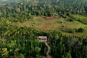 an aerial view of a house in the middle of a forest at Areca Nut Homestay in Mudigere