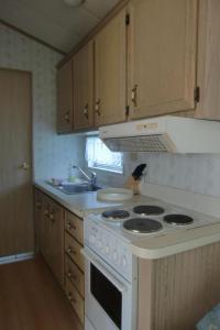 a kitchen with a white stove and a sink at Holiday Home mit Pool by Interhome in Radewege