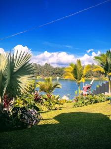 Phong cảnh thiên nhiên gần quán trọ +10 ảnh