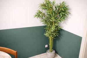 Ảnh trong thư viện ảnh của Central Kelkheim apartment near station ở Kelkheim