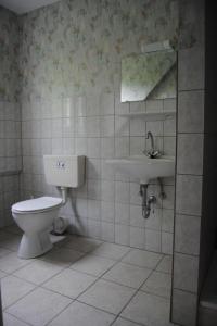 a bathroom with a toilet and a sink at Apartment Schule 6 by Interhome in Goosefeld +8 photos