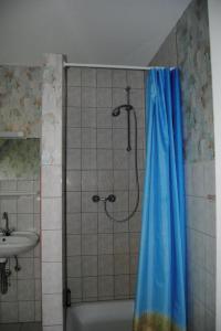 a shower with a blue shower curtain next to a sink at Apartment Schule 6 by Interhome in Goosefeld