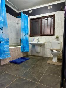een badkamer met een toilet, een wastafel en een douche bij The 12th Avenue in Lusaka
