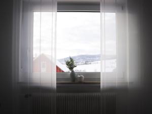 a window with a plant in a vase on a window sill at Apartment Panoramablick Rhön by Interhome in Sandberg
