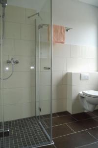 a bathroom with a glass shower and a toilet at Apartment Fewo Berliner by Interhome in Holzdorf +18 photos