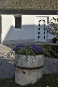 a bucket of flowers in front of a house at Apartment am Waldesrand by Interhome in Schmallenberg