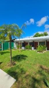 a house with a palm tree in front of it at Los Papyrus in Uvita