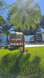 una palma con una tenda in un cortile di Los Papyrus a Bahia