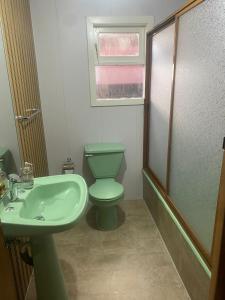 ein Badezimmer mit grünem WC und Waschbecken in der Unterkunft Raíces de Gamboa in Castro