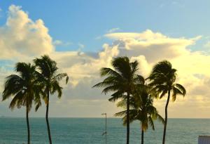 Naturlandskabet i nærheden af lejligheden