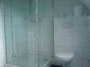 a bathroom with a shower and a toilet and a tub at Apartment 3 by Interhome in Feldhusen