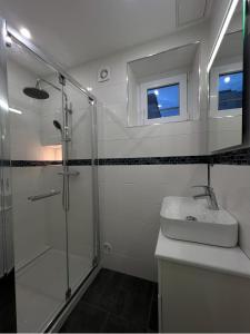 een badkamer met een douche en een wastafel bij Chambre Pour collocation in Thionville