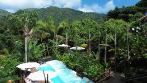 a view of a jungle with umbrellas and trees at The Valley Tayrona hostel- A social jungle hostel in El Zaino +149 photos