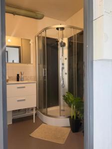 ein Badezimmer mit Dusche und Waschbecken in der Unterkunft Peacefully place in Chelles