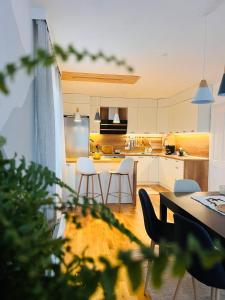 Kuchyň nebo kuchyňský kout v ubytování Cosy Dream Appartment near Borovets