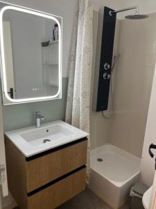 a bathroom with a sink and a mirror and a shower at La loge Royale in Cucq +17 photos