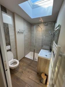 a bathroom with a toilet and a shower with a skylight at Lodges des Pontons - Cap Sud - vue mer in Saint-Côme-de-Fresné +13 photos