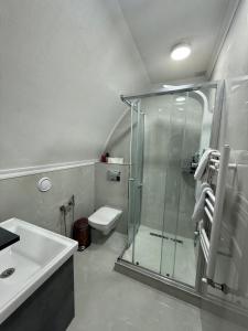 un bagno con doccia, WC e lavandino di Hotel Kalyan & Spa a Chişinău