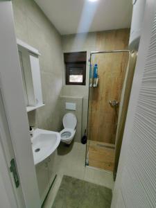 a bathroom with a toilet and a sink and a shower at Vidak apartman in Divčibare