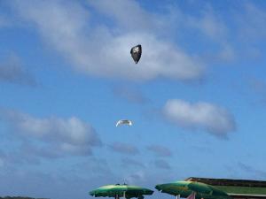 two kites flying in the sky over some umbrellas at Posada Doña Carmen in El Roque