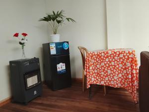 ein Zimmer mit Heizung, Stuhl und Pflanze in der Unterkunft Central Stay Departamentos III in Oruro + 10 Fotos