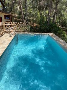a large blue swimming pool with a chair in it at La Casa del bosque in Valencia