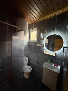 a bathroom with a toilet and a sink and a mirror at Mountains story in Bistrica Lipovska