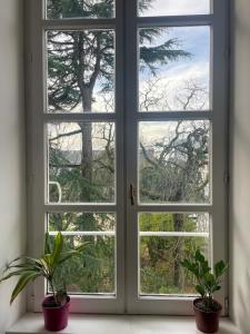 a window with two potted plants on a window sill at Au coeur de la Roche in La Roche-sur-Yon