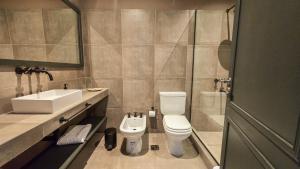a bathroom with a toilet and a sink and a shower at Trento Hotel Boutique in San Salvador de Jujuy