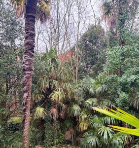 Fotografie z fotogalerie ubytování Escale Tropicale - T1 calme 5min à pied de la plage v destinaci Saint-Nazaire