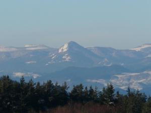 a mountain in the distance with trees in the foreground at Les Cabanes de Labrousse in Saint-Julien-Labrousse