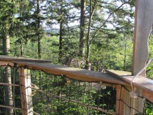 a wooden deck with a view of the woods at Les Cabanes de Labrousse in Saint-Julien-Labrousse +9 photos
