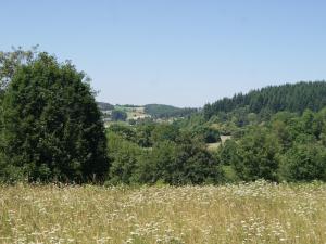 a field of tall grass with white flowers and trees at Les Cabanes de Labrousse in Saint-Julien-Labrousse