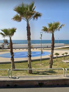 drei Palmen in einem Park in Strandnähe in der Unterkunft EMAsolemare in Rosignano Solvay
