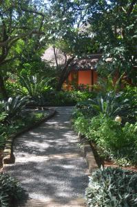 un camino que conduce a una casa con árboles y plantas en Bushbaby Lodge & Camping en Hluhluwe