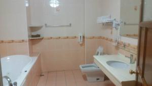 台東市的住宿－萊灣民宿，带浴缸、盥洗盆和卫生间的浴室