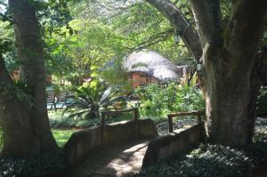 a path in a park with trees and a building at Bushbaby Lodge & Camping in Hluhluwe
