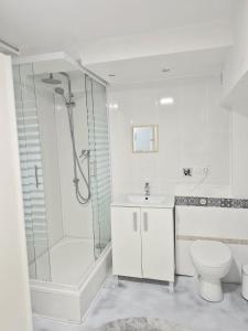 een badkamer met een douche, een toilet en een wastafel bij Basement studio in hosts house with private terrace and BBQ Ideal for The camino in Zizur Mayor