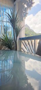 een weerspiegeling van een palmboom in een zwembad bij Martha's House Tesla in Soufrière