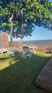 a group of lawn chairs sitting under a tree at kitnets Praia Super in Cumuruxatiba