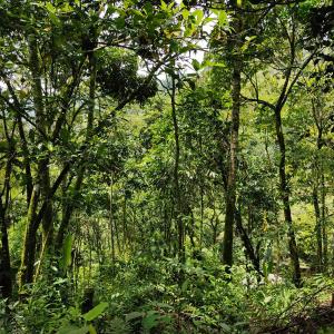Naturlandskabet i nærheden af feriehuset