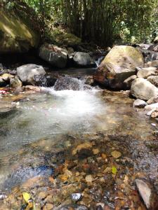 Naturlandskabet i nærheden af feriehuset