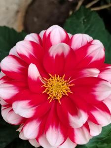 Billede fra billedgalleriet på Nido de bromelias Cabaña en Pance i Pance