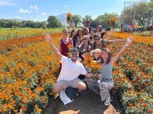 a group of people posing in a field of flowers at Co404 Oaxaca - Coliving Coworking in Oaxaca City +4 photos