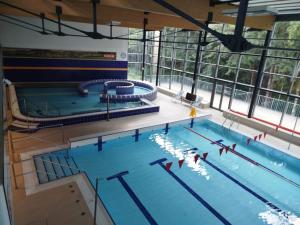 Bazén v ubytování Apartmán Adele Nové Město Na Moravě nebo v jeho okolí